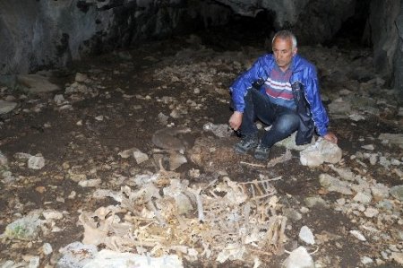 Dersim harekatında hayatını kaybedenlerin kemiklerine 76 yıl sonra ulaşabildi