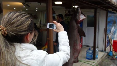 Dev 'camgöze' büyük ilgi