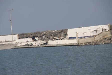 Dev Dalgalar İstinat Duvarlarını Yıktı