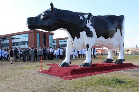 Dev inek maketi Veteriner Fakültesine hediye edildi