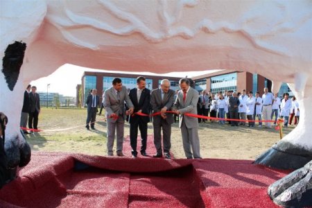 Dev inek maketi Veteriner Fakültesine hediye edildi