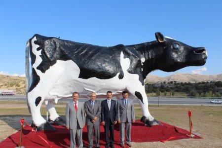 Dev inek maketi Veteriner Fakültesine hediye edildi