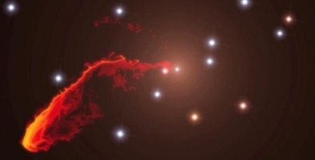 Dev Karadeliğin ‘yemek Vakti’ Görüntülendi