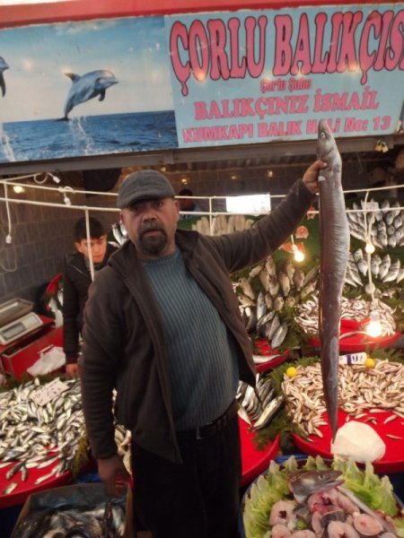 Dev müren balığı ilgi odağı oldu