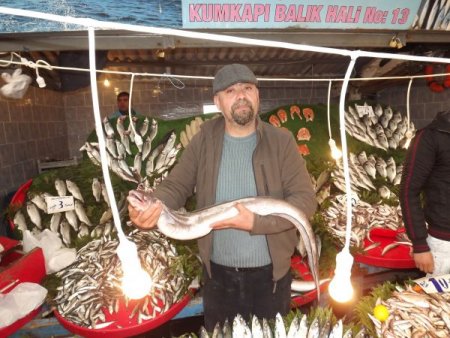 Dev müren balığı ilgi odağı oldu