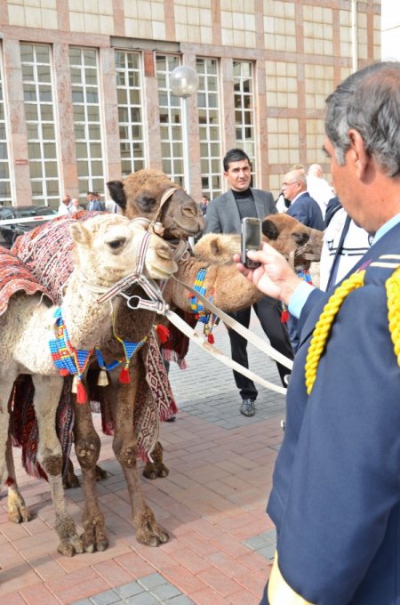 Deve kervanları 'İpekyolu Belediye Başkanları Forumu' için şehir turu yaptı