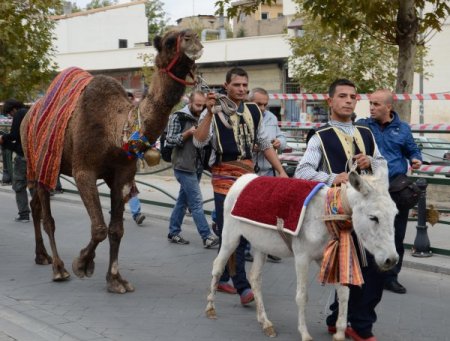 Deve kervanları 'İpekyolu Belediye Başkanları Forumu' için şehir turu yaptı