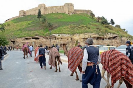 Deve kervanları 'İpekyolu Belediye Başkanları Forumu' için şehir turu yaptı