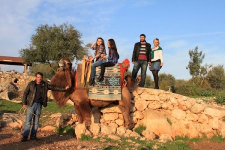 Deve turlarına büyük ilgi