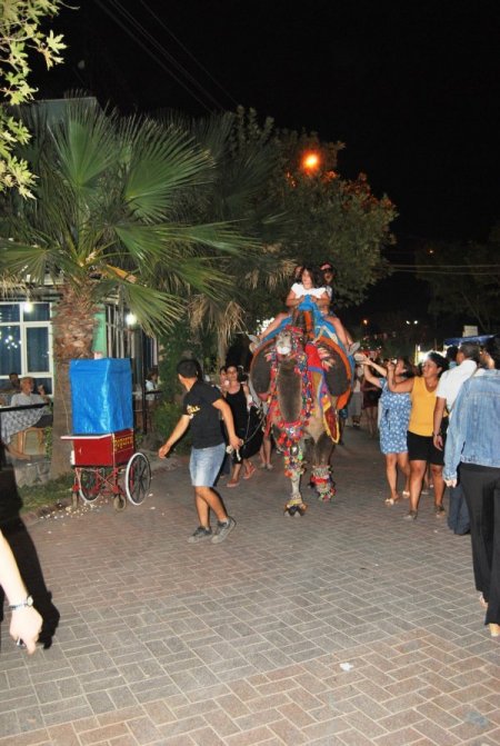 Develer Turizmin Hizmetinde