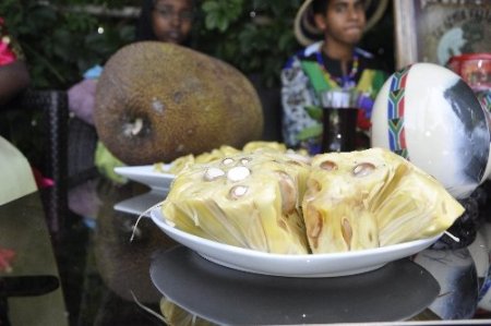 Devlet adamları deve kuşu yumurtasına, İzmir haritası kelebek kanadına taşındı