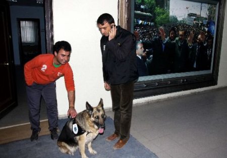 Devlet Bakanı Yılmaz'dan Dtp'ye: Hak Ve Hukuktan Bahsedenler Şiddete Karşı Çok Net Bir Tavır Sergilemelidir