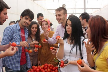 Dicle Üniversitesi’nden Uygulamalı Ziraat Eğitimi