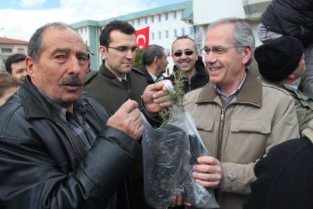 Dinar'da 5 bin sedir fidanı dağıtıldı