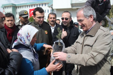 Dinar'da 5 bin sedir fidanı dağıtıldı