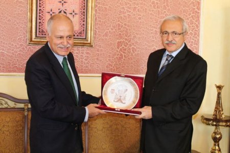 Dışişleri Bakanlığı Müsteşar Yardımcısı Göğüş, Sivas'ta