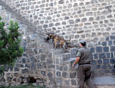 Diyarbakır polisi, halkın huzuru için dev sokak uygulaması yaptı