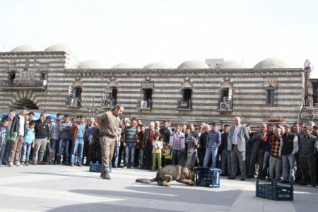 Diyarbakır polisinden uyuşturucuyla topyekun mücadele