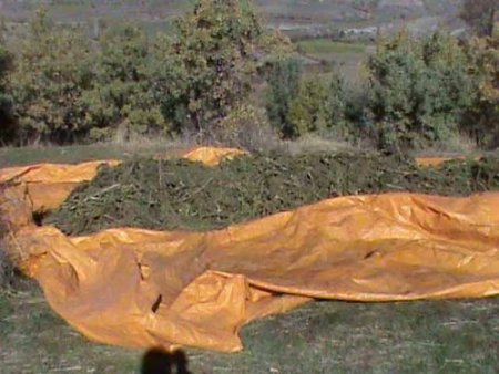 Diyarbakır'da 2 Tona Yakın Esrar Ele Geçirildi