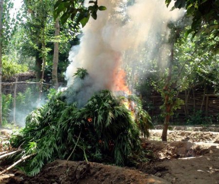 Diyarbakır’da 20 Uyuşturucu Tarlasına Operasyon
