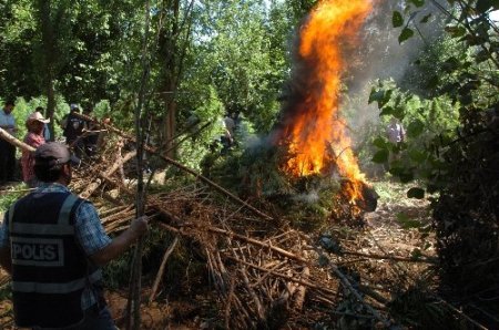 Diyarbakır'da hava destekli uyuşturucu operasyonları devam ediyor