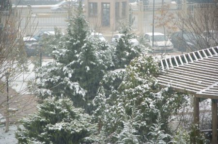 Diyarbakır'da kar yağışı başladı