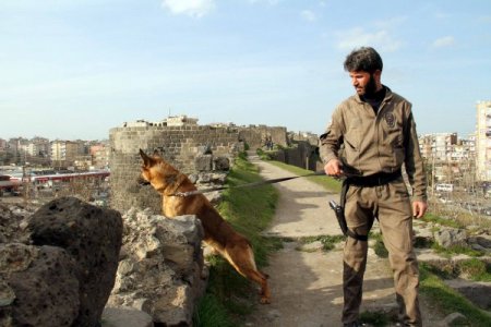 Diyarbakır’da yarım ton esrar ele geçirildi