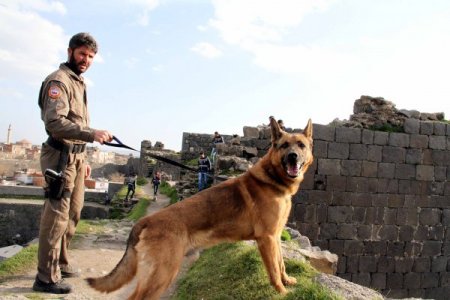 Diyarbakır’da yarım ton esrar ele geçirildi