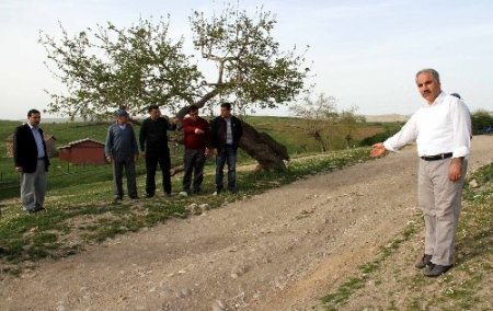Diyarbakır'daki 770 sahabe kabirinden 32'sinin yeri biliniyor