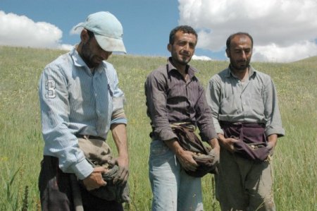 Diyarbakır'dan Gelip Muş'ta Orkide Topluyorlar