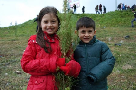 Diyarbakırlı doğaseverler 10 bin fidan dikti