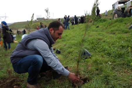 Diyarbakırlı doğaseverler 10 bin fidan dikti
