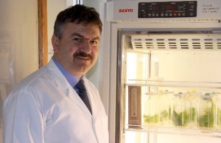 DNA analiz laboratuarısızlığı, yabancı şirketlerin işine yarıyor