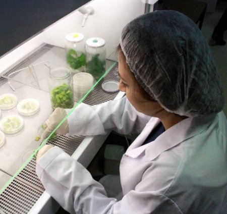 DNA analiz laboratuarısızlığı, yabancı şirketlerin işine yarıyor