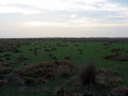 Doğa Derneği: Aziz Kocaoğlu, kaş yaparken göz çıkarmamalı