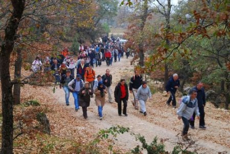 Doğa Severler Taraklı'nın Güzelliklerine Hayran Kaldı