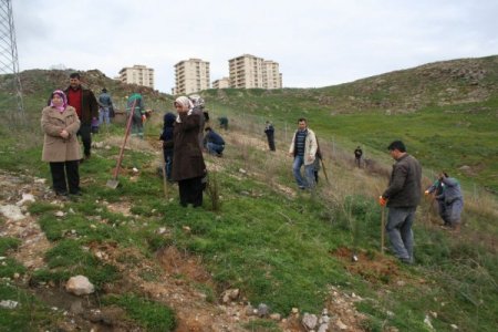 Doğader Karşıyaka'da Yüzlerce Fidan Dikti