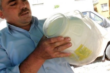 Doğal enerji içeceği: Manda sütü