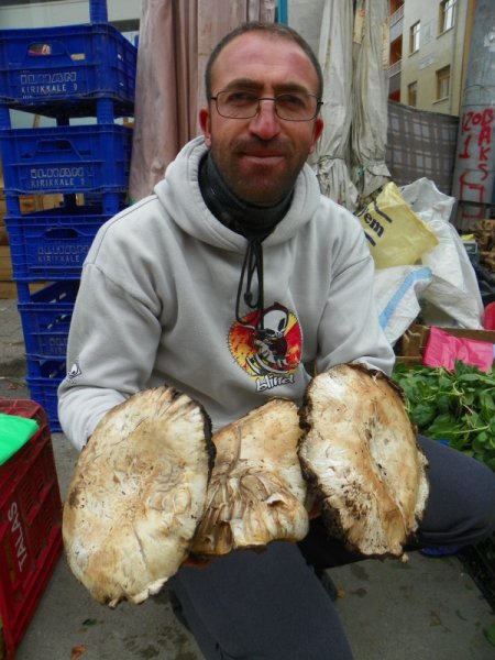 Doğal mantarlar pazara indi