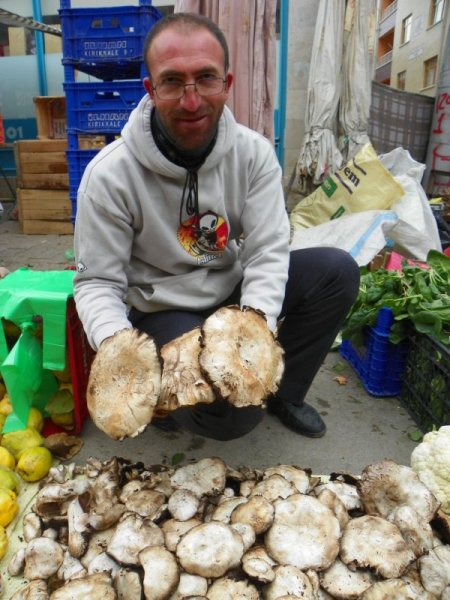 Doğal mantarlar pazara indi