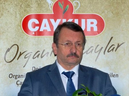 Doğu Karadeniz’de yaş çay alım sezonu başlıyor