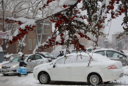Doğuda kış: Tatvan kar altında