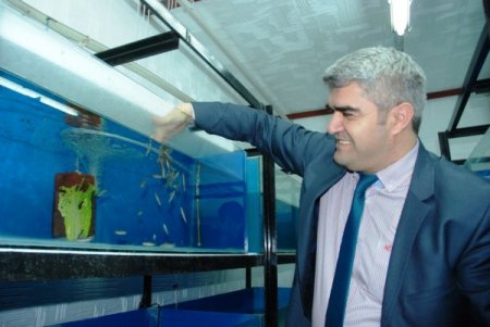 Doktor balıklar üniversiteli oldu, sağlık turizmine hizmet edecek (Özel)