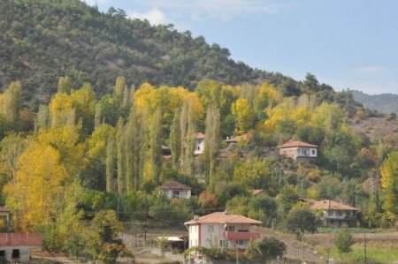 Dökülen yapraklar sonbaharın hüznünü yansıtıyor