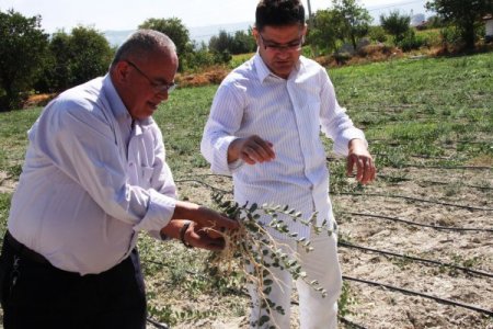 Dolar açan kapariye talep çok, ürün yok