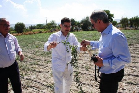Dolar açan kapariye talep çok, ürün yok