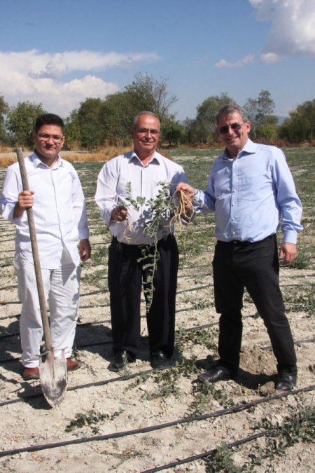 Dolar açan kapariye talep çok, ürün yok