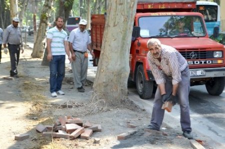 Dolmabahçe'de yaralar sarılıyor