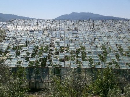 Dolu, seralarda sağlam cam bırakmadı