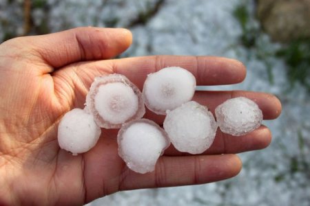 Dolu çiçekleri döktü